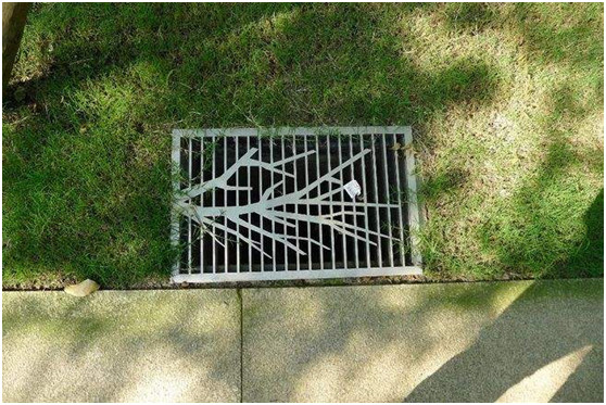 公園常見的雨水口